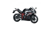 Kawasaki ZX25R Fairings