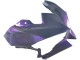 2024-2025 Kawasaki Ninja 500 EX500R Motorcycle Fairings - Chameleon Grey Dazz Pearl Purple