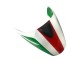 2008-2012 Ducati Monster 696 796 1100 1100S Motorcycle Fairing - White Red Green