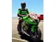 2011-2015 Kawasaki ZX10R Motorcycle Fairings - Green Yellow White Black Red Pirelli