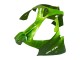 2000-2001 Kawasaki ZX9R Motorcycle Fairings - Green Flame