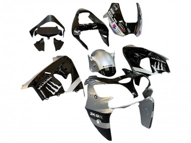 2002-2003 Kawasaki ZX9R Motorcycle Fairings - Silver Glossy Black Monster Elf