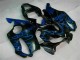 Blue Flames 01-03 Honda CBR600 F4i Motorcycle Fairings Blue Flames 01-03 Honda CBR600 F4i Motorcycle Fairings