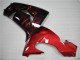 Red Flame 06-07 Kawasaki ZX10R Motorcycle Fairings